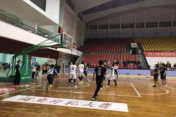 青少年篮球爱好者综合训练方案_0