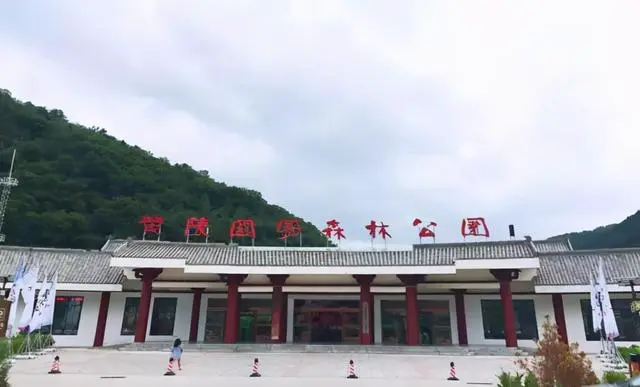 如何在篮球赛事中快速恢复体力_1